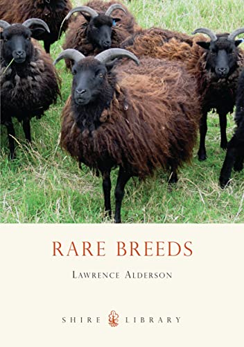 Rare Breeds