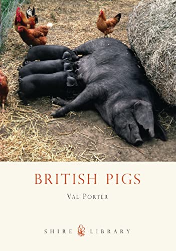 Beispielbild fr British Pigs: No. 340 (Shire Library) zum Verkauf von WorldofBooks