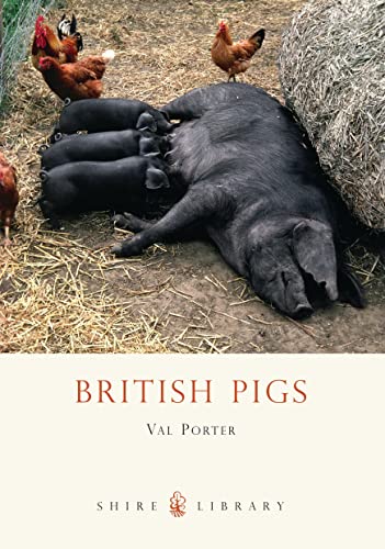 Stock image for British Pigs: No. 340 (Shire Library) for sale by WorldofBooks