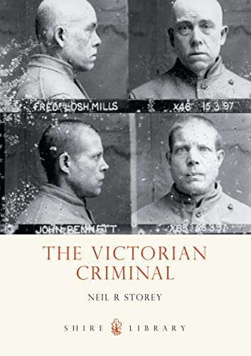 Imagen de archivo de The Victorian Criminal a la venta por ThriftBooks-Atlanta
