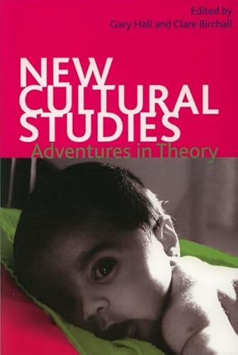 Stock image for New Cultural Studies: Adventures in Theory for sale by WorldofBooks