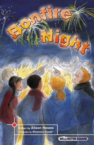 Imagen de archivo de Wellington Square Think About it Bonfire Night a la venta por WeBuyBooks