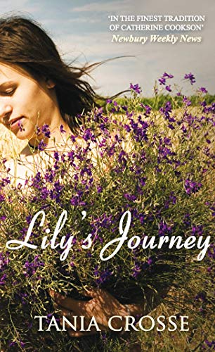 Beispielbild fr Lily's Journey zum Verkauf von WorldofBooks