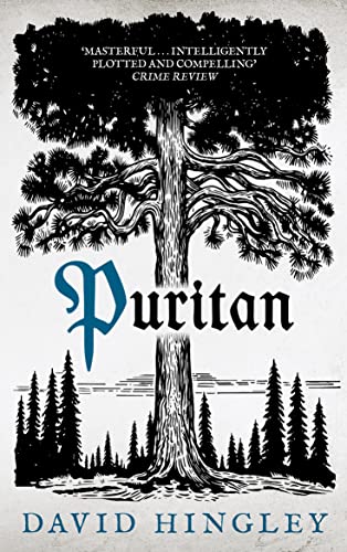 Stock image for Puritan: 2 (Mercia Blakewood) for sale by WorldofBooks