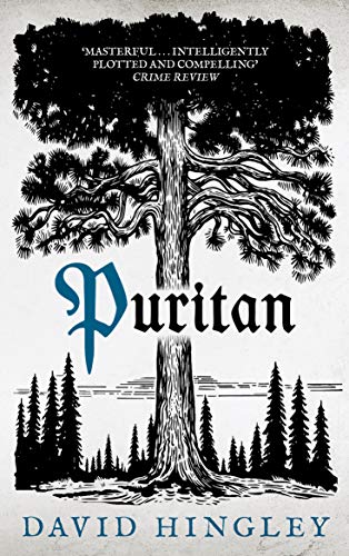 Imagen de archivo de Puritan (Mercia Blakewood) a la venta por AwesomeBooks