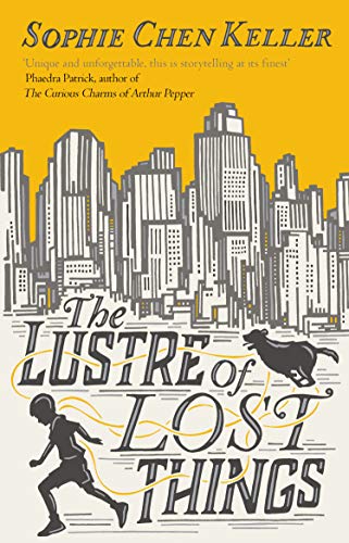 Beispielbild fr The Lustre of Lost Things zum Verkauf von WorldofBooks