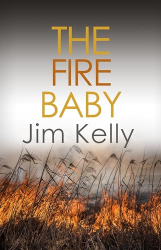 9780749025304: The Fire Baby: Secrets and murder flourish in Cambridgeshire (Dryden Mysteries 2)