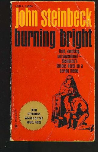 Stock image for Burning Bright for sale by Goldstone Books