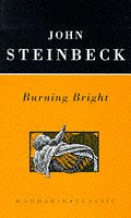 Stock image for Burning Bright (Mandarin classic) for sale by WorldofBooks