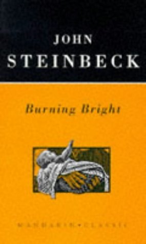 Burning Bright (Mandarin Classic) (9780749317751) by [???]