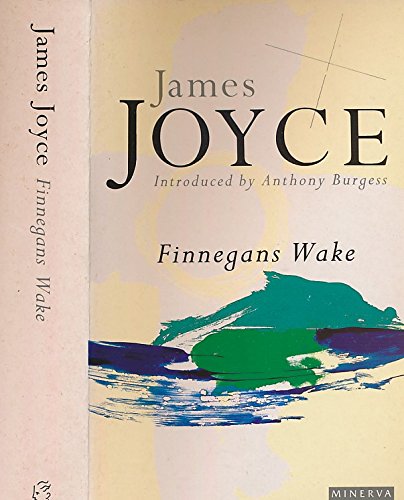 9780749398316: Finnegan's Wake