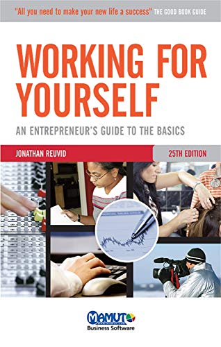 Stock image for Working for Yourself: An Entrepreneur's Guide to the Basics for sale by Goldstone Books