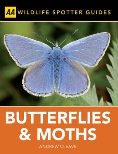 Stock image for Spotter Guide Butterflies & Moths (AA Spotter Guides) for sale by WorldofBooks