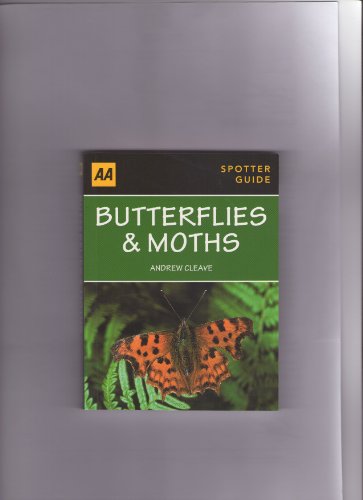 Beispielbild fr Butterflies & Moths zum Verkauf von WorldofBooks