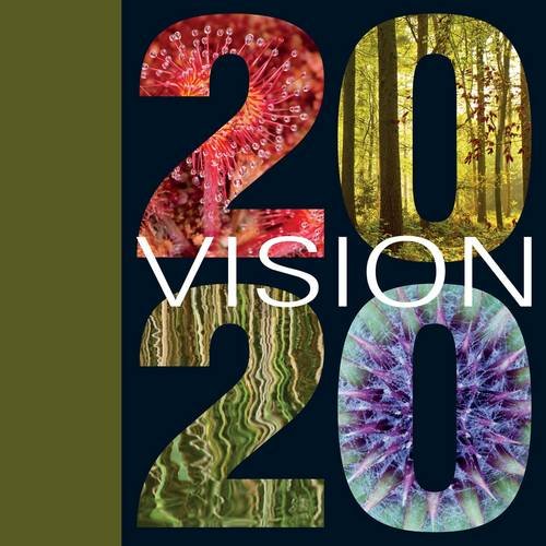 Stock image for 2020 VISION: One Vision to Rebuild Our Natural Home: A Vision to Rebuild Our Natural Home for sale by WorldofBooks