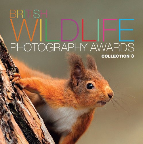 Beispielbild fr British Wildlife Photography Awards: Collection 3 zum Verkauf von WorldofBooks