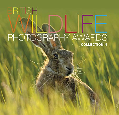 Beispielbild fr British Wildlife Photography Awards: Collection 4 zum Verkauf von WorldofBooks