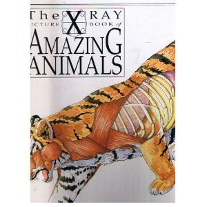 Stock image for Amazing Animals (X-ray Picture Books) for sale by HPB-Red