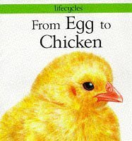 Stock image for From Egg to Chicken (Lifecycles) for sale by Brit Books