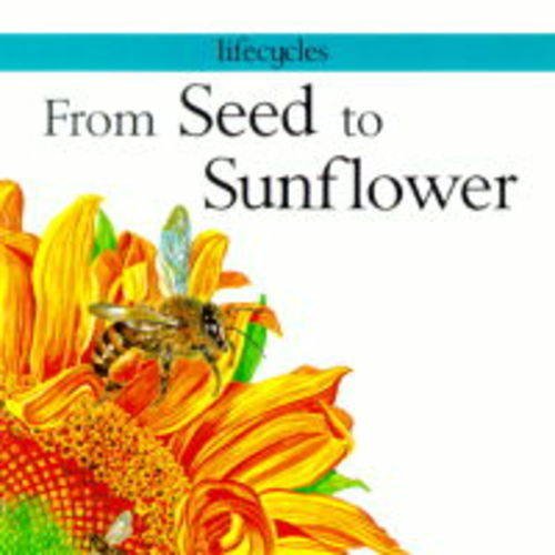 9780749631420: From Seed To Sunflower (Lifecycles)