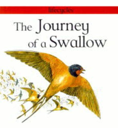 The Journey of a Swallow (Lifecycles) (9780749631482) by Carolyn Scrace