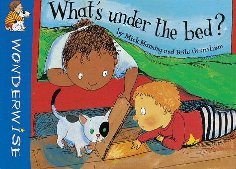 9780749632885: What's Under the Bed (Wonderwise)