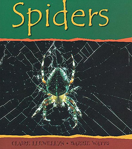9780749636869: Spiders (Minibeasts)