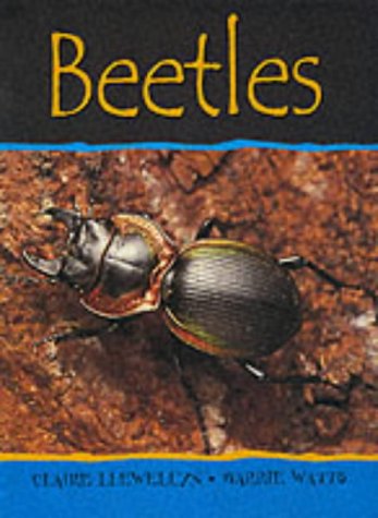 9780749636890: Beetles (Minibeasts)