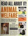 Animal Welfare: 3 (Read All About It)