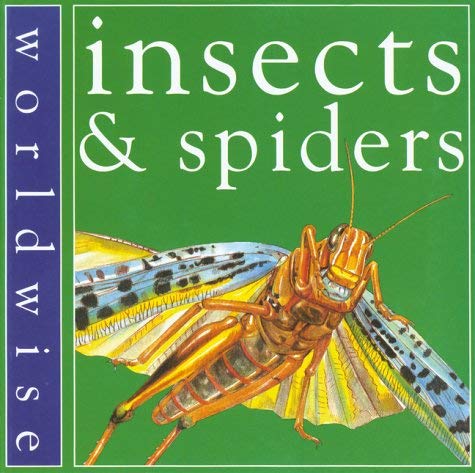 Insects (Worldwise) (9780749638061) by Clarke, Penny