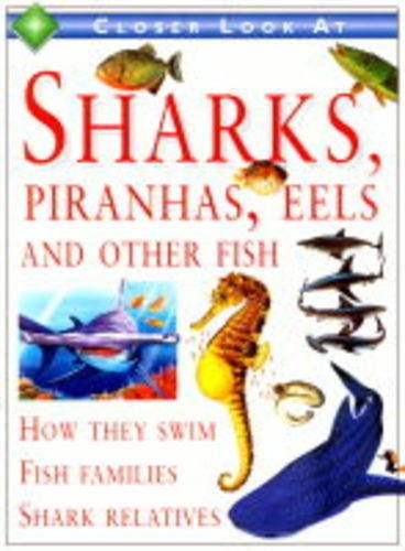A Closer Look at Sharks, Piranhas, Eels and Other Fish (9780749638856) by Joyce Pope