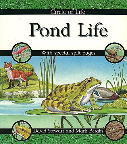 9780749642310: Pond Life