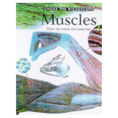 Beispielbild fr Muscles (Under the Microscope) zum Verkauf von AwesomeBooks