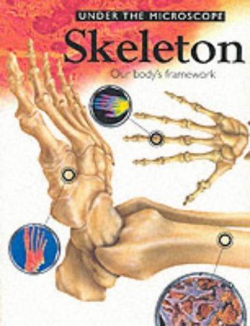 Beispielbild fr Skeleton : Our Body's Framework zum Verkauf von Better World Books