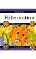 Hibernation (Circle of Life) - SCRACE, C