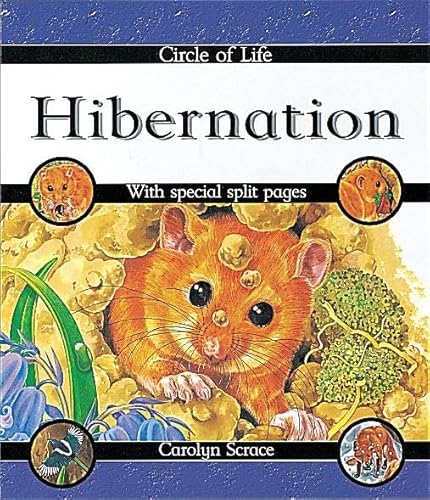 9780749644253: Hibernation