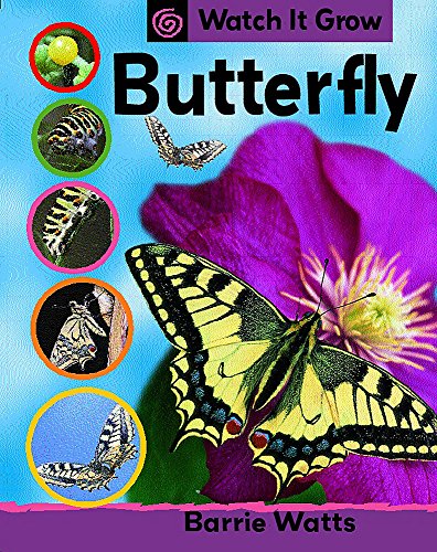 Beispielbild fr Butterfly (Watch It Grow) zum Verkauf von WorldofBooks