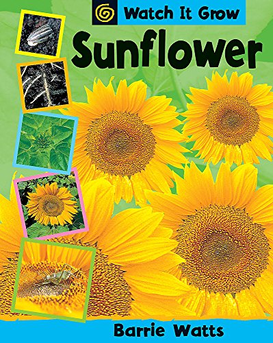 Stock image for Sunflower (Watch It Grow) for sale by WorldofBooks