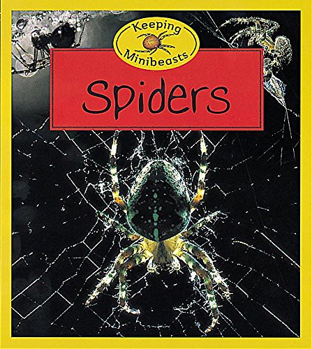9780749649999: Spiders