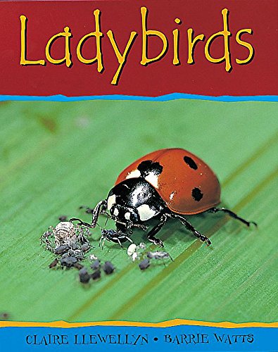 Ladybirds (9780749652067) by Claire Llewellyn