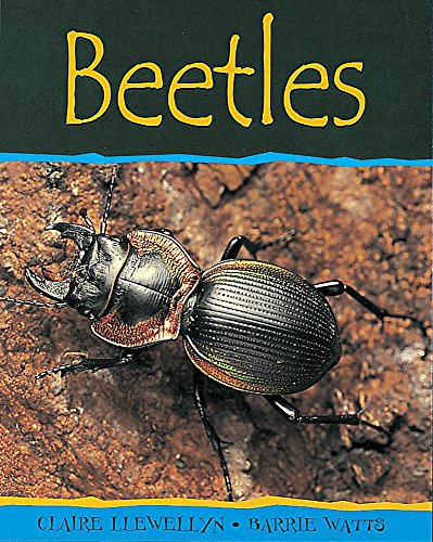 Beetles (Minibeasts) - Claire Llewellyn