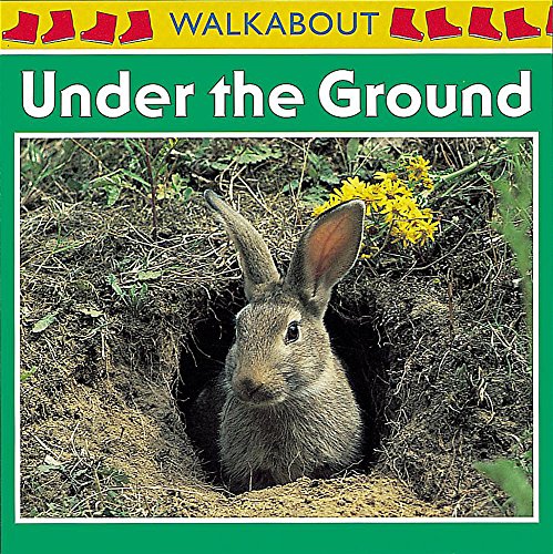 Under the Ground (Walkabouts) (9780749652661) by Henry Pluckrose