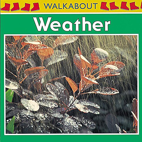 9780749652678: Weather: 11 (Walkabouts)