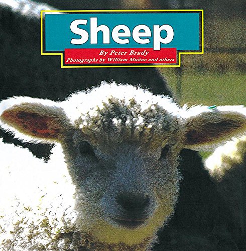 Stock image for Sheep: 6 (Farm Animals) for sale by Goldstone Books