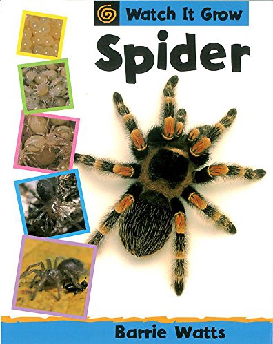Imagen de archivo de Spider (Watch It Grow) a la venta por WorldofBooks