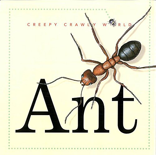9780749657017: Ant: 1 (Creepy, Crawly World)