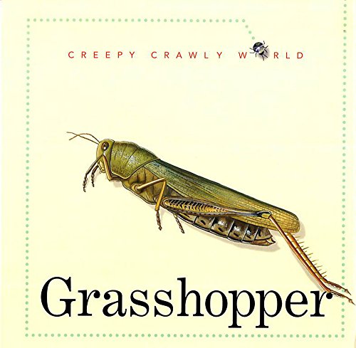 Grasshopper: 4 (Creepy, Crawly World) (9780749657048) by Morris, T