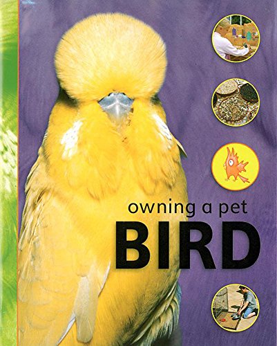 Stock image for Bird (Owning a Pet) for sale by MusicMagpie