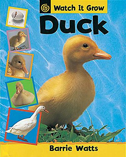 Stock image for Duck (Watch It Grow) for sale by WorldofBooks