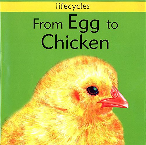 Beispielbild fr From Egg to Chicken (Lifecycles) zum Verkauf von Phatpocket Limited